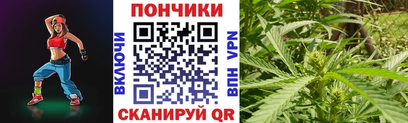 Где купить наркоту Могоча MDMA  Псилоцибиновые грибы  ГАШ  Мефедрон  КЕТАМИН  МАРИХУАНА 